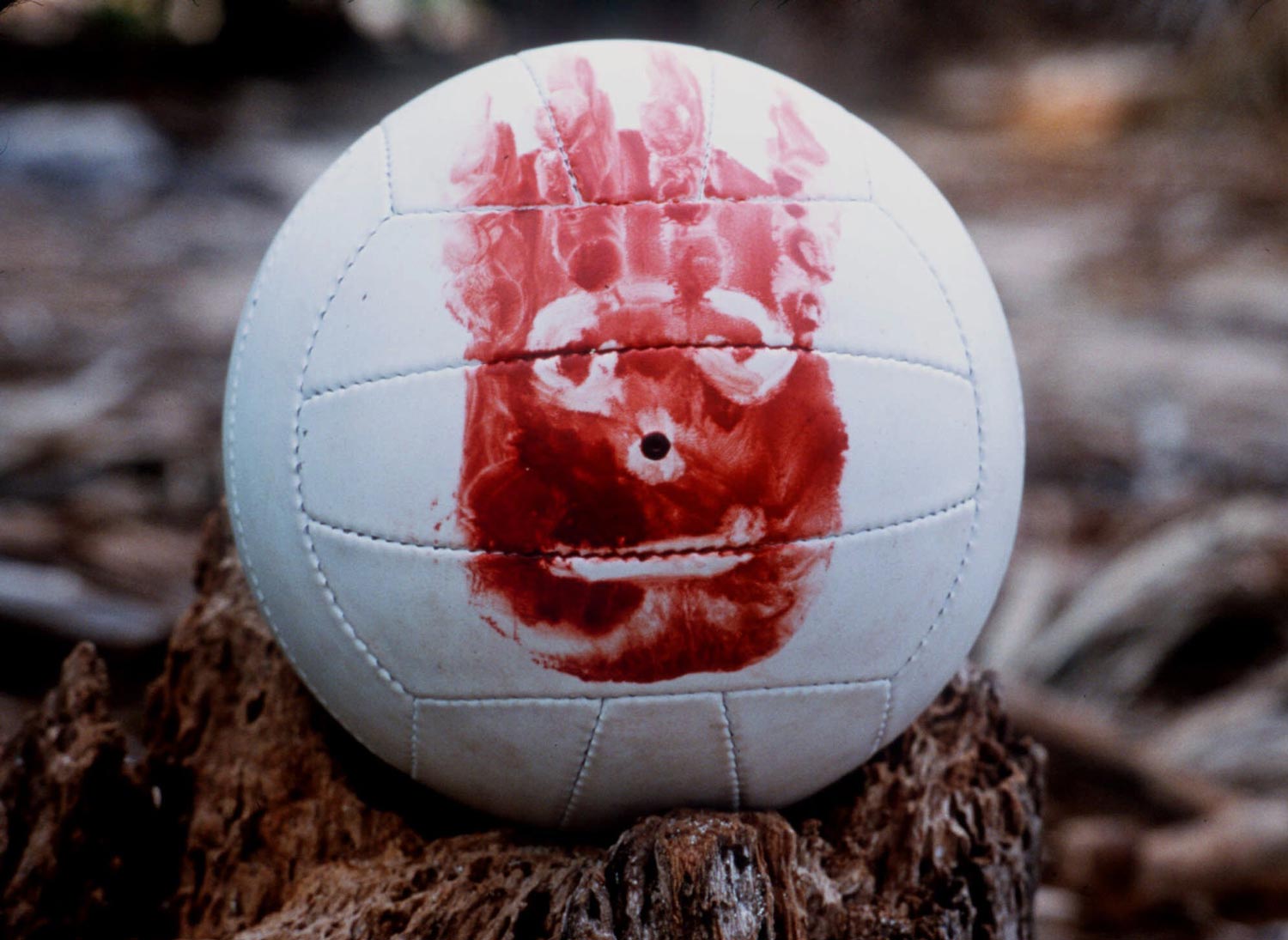 wilson1